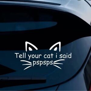 New Funny Cat Car Deacl